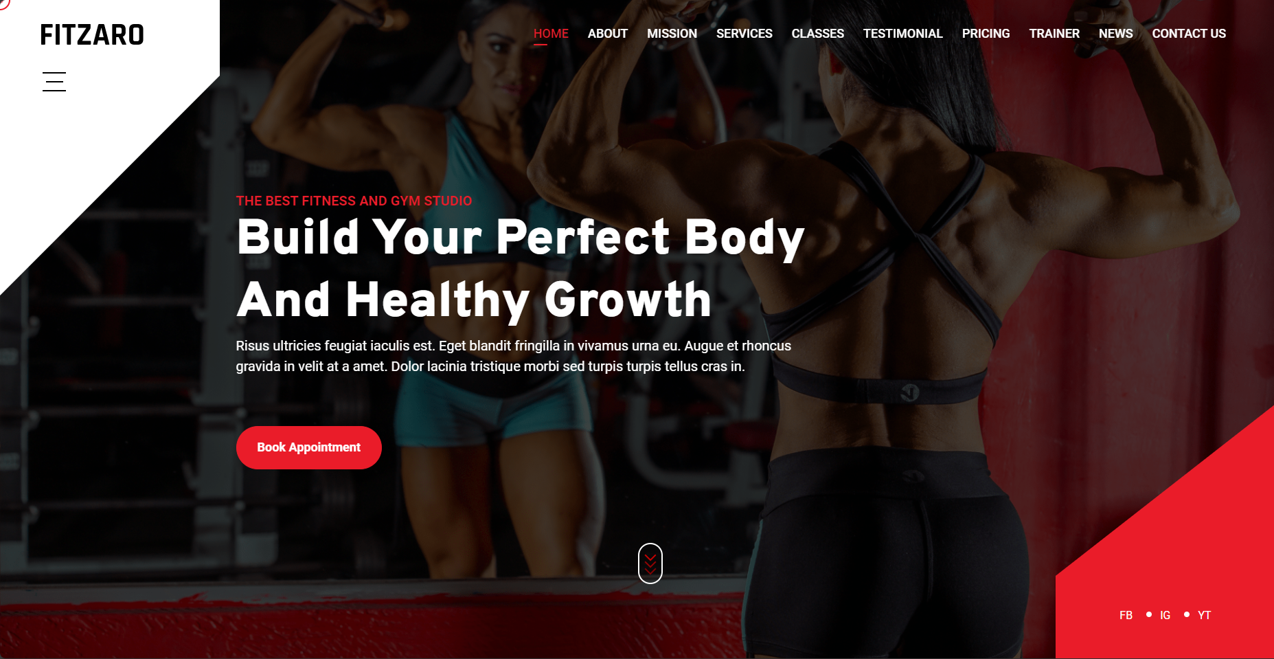 Personal Portfolio Images