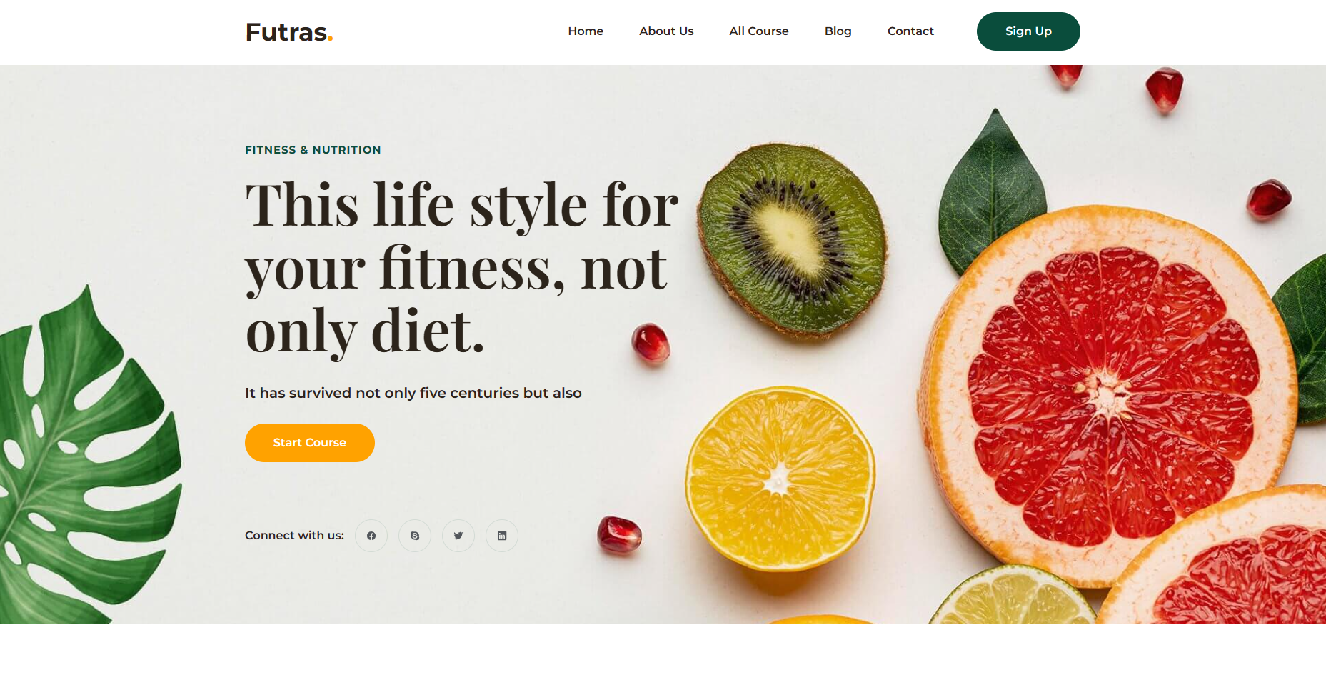 Personal Portfolio Images